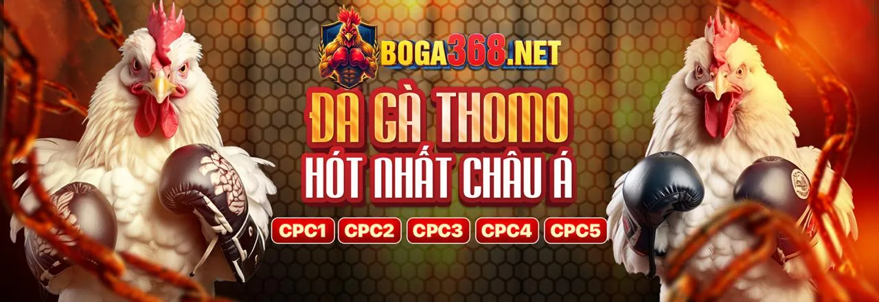 Hình ảnh sân vận động thể thao lc888